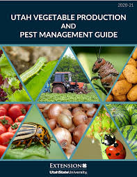 Cover the plants with thin netting made to keep potato bugs away. Https Extension Usu Edu Vegetableguide Files Ut Veg Guide 2020a Pdf