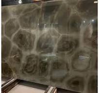 Brazilian Exotic Green Turtle Illusion / Verde Tortuga ...