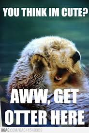 Oh Stop It You Animal Captions Funny Animals With Captions Animal Puns