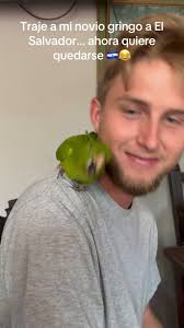 El Salvador 🇸🇻 503