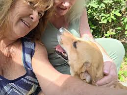 Let's welcome our new members: Josi Hewgill, Christine Neziol, Rosa Carol  Echeverria, Tammy MacNevin, Rusa Rusa, Shauna Baxter, Yasmina Bermúdez  Legón, Marcela Echeverria-Poulin, Taylor Pelletier, Sara Liverance, Jose  Luis Sanchez Zamora, Jennifer