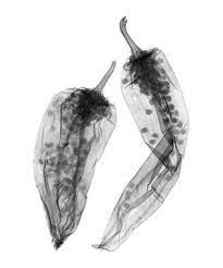 Smorgasbord Culinary X Ray Photography By Don Dodenbostel Photographie Photo Artistique Photo Noir Et Blanc