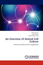 We did not find results for: An Overview Of Animal Cell Culture Animal Cell Culture And Its Application Nema Rajeev Khare Sarita Singh Dharmendra 9783659119132 Amazon Com Books