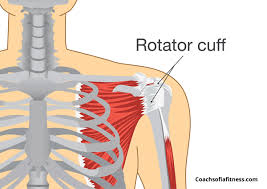 What causes pain in left shoulder? How To Fix Uneven Shoulders Trapezius Tightness Coach Sofia Fitness