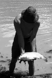 PUBLICADO NO DIÁRIO ELETRÔNICO - Órgão de Justiça - Medidas Legais