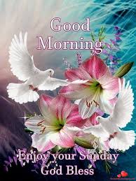 Have A Good Sunday Images Pictures And Nice Beautiful Quotes To Share To Your Friends To Face Sunday Greetings Good Morning Happy Sunday Happy Sunday Morning Good morning images & good nights images are the best greetings to send anyone morning or night. good morning happy sunday