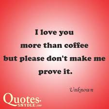 I love you more than cookies! 4. I Love You More Than Spongebob Quotes Funny Love Quotes And Sayings With Images Quotes And Sayings Dogtrainingobedienceschool Com