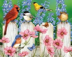 amazon com white mountain puzzles picket fence pals 1000 piece jigsaw puzzle toys games bird art art birds painting