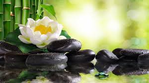 Relaxing Piano Music Soft Sleep Music Water Sounds Meditation Music Relaxing Music 102 Youtube Relaxing Music Meditation Music Reiki Music