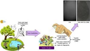 Scales each feature by its maximum absolute value. Characterisation And Computational Analysis Of A Novel Lipase Nanobio Based Reagent For Visualising Latent Fingerprints On Water Immersed Glass Slides Sciencedirect