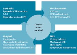 Activation of the ems system shall be. The Cost Of Prehospital Cardiac Arrest Care Jems