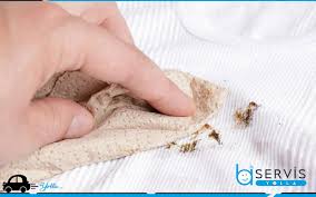 Evde kuru temizlemeye nasıl başlanır? 4 Asamada Evde Kuru Temizleme Uygulamasi