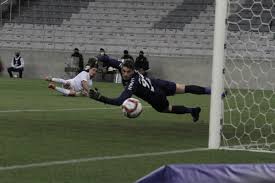 On sofascore livescore you can find all previous paraná clube vs londrina results sorted by their h2h matches. I842y S9lvbsxm