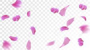 Maybe you would like to learn more about one of these? Pink Sakura Petals Falling Down Isolated Vector Illustration Royalty Free Cliparts Vectors And Stock Illustration Image 112694169