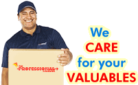 The Professional Couriers Domestic Sector