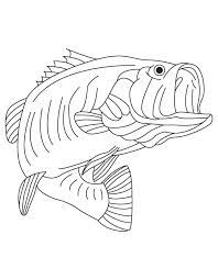 A bass coloring page to color, print or download. Bass Fish Coloring Pages Coloring Home