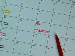 Rahsia masalah kesihatan wanita : Waktu Subur Wanita Cara Pengiraan Yang Betul Untuk Rancang Kehamilan