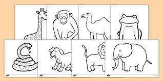 25 interesting zoo animals coloring pages for your little ones. Dear Zoo Colouring Sheets Dear Zoo Kindergarten Coloring Pages Preschool Color Activities