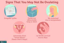 How To Detect Pregnancy Or Ovulation On Your Bbt Chart