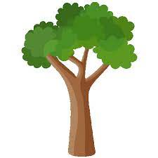 Merry Christmas Sticker By Biznet For Ios Android Giphy Good Morning Beautiful Gif Trees To Plant Pretty Flowers