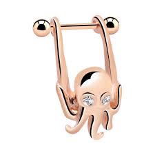 Find out the most actively traded coin on kraken (futures). Helix Piercing Rose Vergoldeter Chirurgenstahl 316l Weltgrosster Piercing Onlineshop