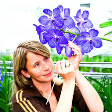 Die verschiedenen orchideenarten nach bildern bestimmen. Orchideen Garten Inhaberin Orchideengarten Karge Xing