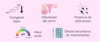 Alteraciones Del Moco Del Cuello Uterino