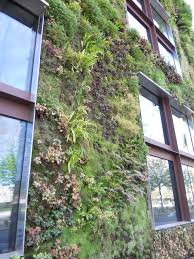 This cedar vertical garden has a lot of space to grow your favorite herbs and plants. Ideen Und Tipps Einen Vertikalen Garten Anzulegen