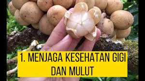 Warna ranum kuning kemerahan dan kecoklatan bisa dipastikan buah goal tersebut akan terasa manis, namun sentuhan asam masih tetap ada. Buah Bidara In English