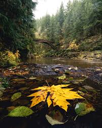 Check spelling or type a new query. Moulton Falls Regional Park View Of Moulton Falls Bridge Explorest