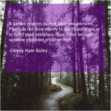 A Garden Requires Patient Labor And Attention Plants Do Not Grow Merely To Satisfy Ambitions Or To Tony Campolo Billy Graham Ian Mcewan