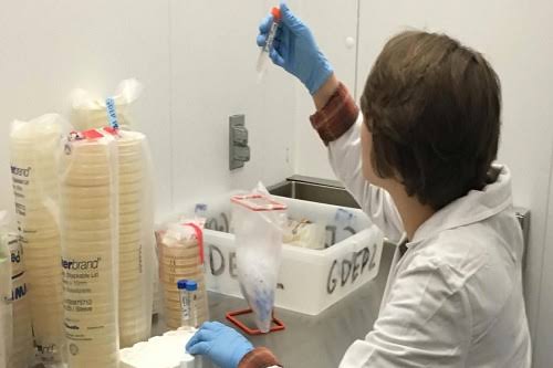 Biotechnology Center | Western Kentucky University