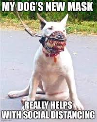 43 Memes Impossible Not To Laugh At Funny Animal Pictures Funny Animal Memes Animals