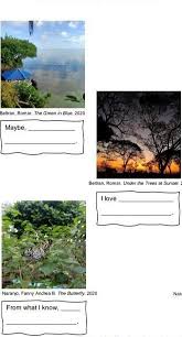 Opinion marking signals other contents: Below Are Picture That Show Beautiful Places And Things In The Philippines Write An Opinion Below Each Brainly Ph