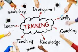The Rise of Online Education: Top Platforms for Training Courses