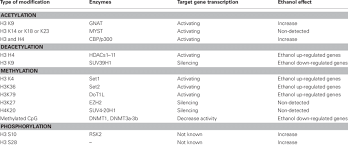Ethanol Induced Histone And Dna Modifications Download Table