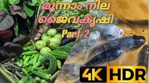 Download free malayalam pazhamchollukal 4.6 for your android phone or tablet, file size: Download Zworld Krishi Episode 2 3gp Mp4 Codedfilm