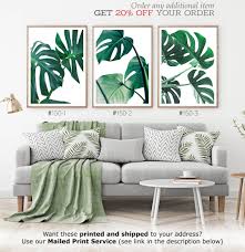 The monstera, the trendy plant of the moment. Pin On Podarki Svoimi Rukami