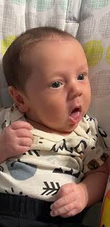 Mini Doodle Burping After Fresh Food Diet