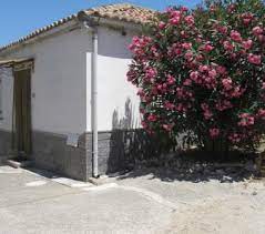 Piano terra, ingresso, soggiorno cucina e servizio, primo piano, 3 camere più servizio e lastrico solare. Case Indipendenti Vendita Da Privati Reggio Calabria Casadaprivato It