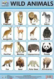 Wild Animals Chart In Delhi Delhi India Quixot Multimedia Pvt Ltd Wild Animals Pictures Wild Animals List Animal Pictures For Kids