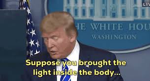 With tenor, maker of gif keyboard, add popular donald trump animated gifs to your conversations. Trump Light Gifs Get The Best Gif On Giphy