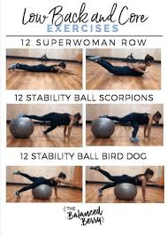 Yoga ball exercises for lower back. Yoga Ball For Lower Back Pain Cheap Online