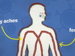 Throughout the rest of the body: Vaccine Side Effects Are Actually Good Moderna And Pfizer Side Effects Explained Vox