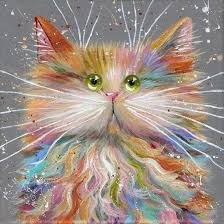 nadia xavier (nadiaxavierx) — Perfil