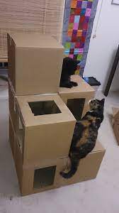 I Made A Cat Condo Out Of The Cat Board Boxes Cat House Diy Cardboard Cat House Cat Trees Cheap