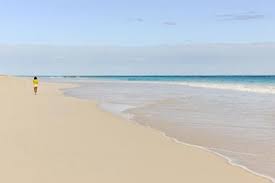 Save on popular hotels and vacation rentals steps away from the beach. 12 Best Pink Sand Beaches In The World