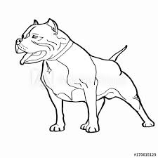 If you're stepping up your dog how to draw a pitbull puppy step by step, learn drawing by this tutorial for kids and adults. Pitbull Dog Pitbull Dog Drawing