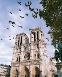 Aquí tienes las palabras para solucionar el crucigrama de words of wonders notre dame de parís nivel 1 36 Notre Dame De Paris Ideas