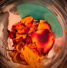 Image result for Pachylobus